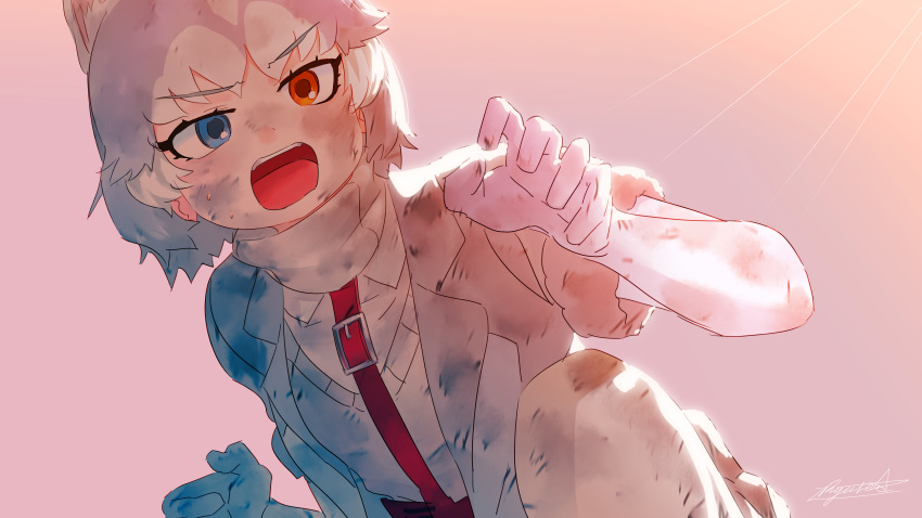 1girl absurdres animal_ears blue_eyes dirty dirty_clothes dirty_face dog_(mixed_breed)_(kemono_friends) dog_ears frown gloves grey_hair grey_jacket grey_vest hand_up heterochromia highres huge_filesize jacket kemono_friends medium_hair orange_eyes pink_background ryusei_hashida short_sleeves signature solo vest white_gloves