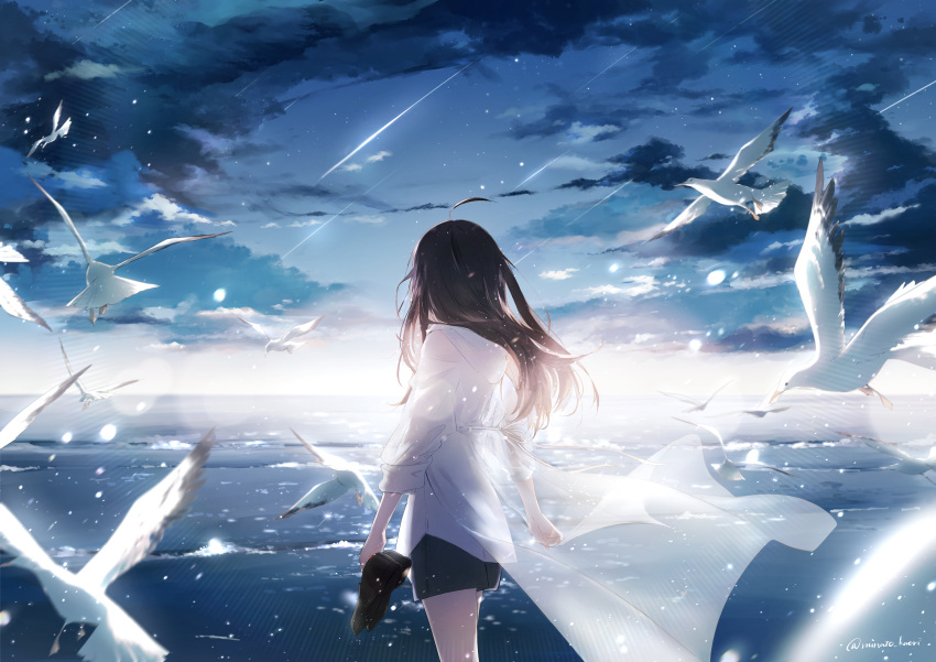 1girl absurdres ahoge bird black_shorts brown_hair clouds commentary_request facing_away floating_cape highres holding holding_shoes hood hooded_jacket horizon jacket lens_flare long_hair medium_hair meteor ocean original scenery seagull see-through sena_tea29 shoes shorts signature sky sleeves_rolled_up solo standing star_(sky) white_bird white_jacket