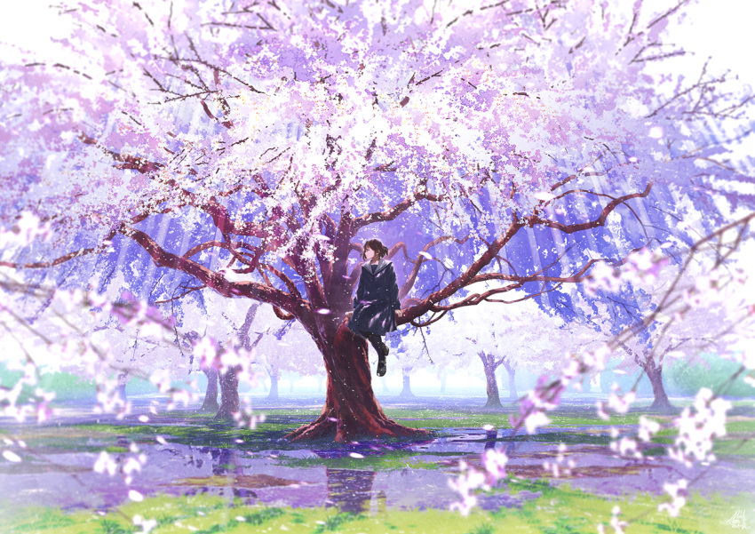 1girl backlighting black_legwear blue_serafuku blue_skirt cherry_blossoms commentary_request day grass in_tree loafers long_sleeves looking_to_the_side mocha_(cotton) original pantyhose petals sailor_collar scenery shoes sitting sitting_in_tree skirt solo spring_(season) tree