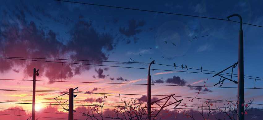 bird blue_sky clouds commentary_request gradient_sky lens_flare no_humans original petals pink_sky power_lines scenery sky sun sunset tree twilight utility_pole vinci_v7 yellow_sky