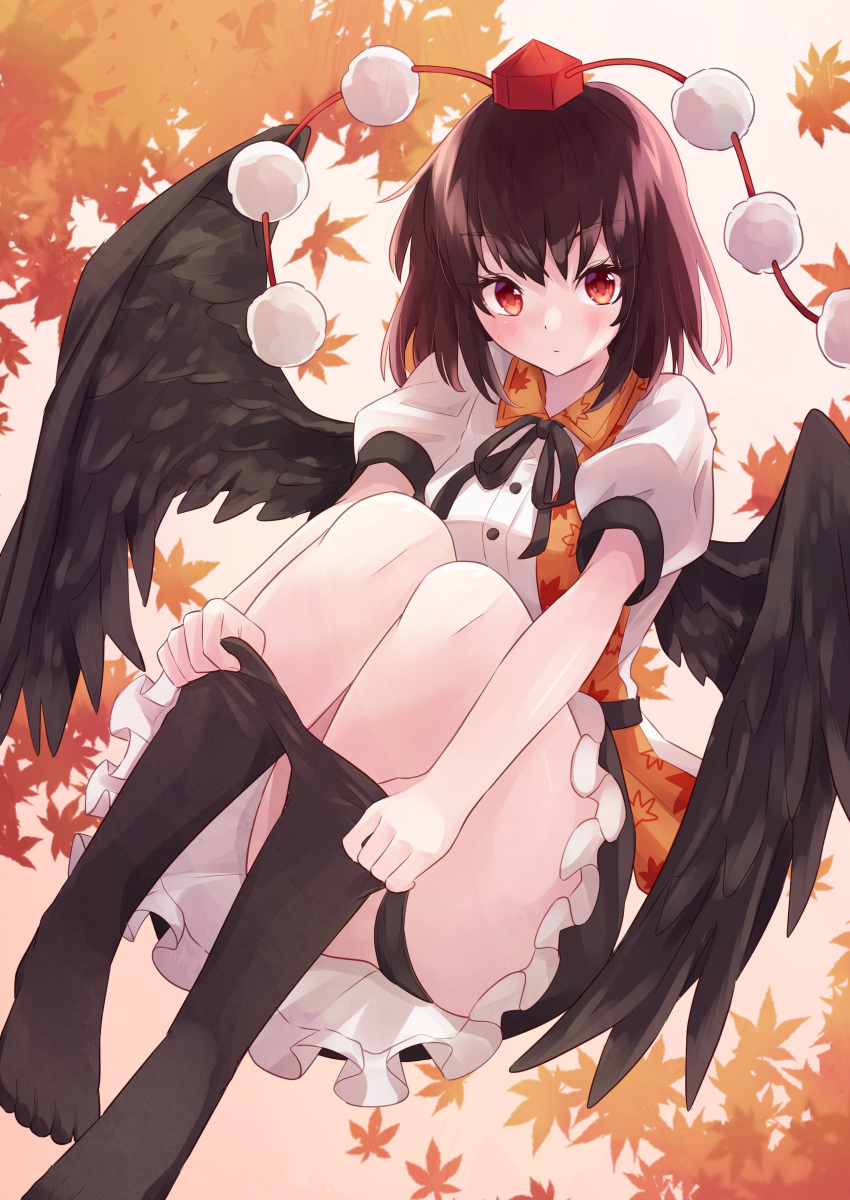 1girl :o absurdres bangs bird_wings black_legwear black_neckwear black_panties black_ribbon black_skirt black_wings blush breasts brown_hair closed_mouth collared_shirt eyebrows_visible_through_hair feet floating gradient gradient_background hat highres leaf leaf_background leaf_print looking_at_viewer maple_leaf_print medium_breasts medium_hair no_shoes panties pantyhose pantyhose_pull petticoat pink_background pom_pom_(clothes) puffy_short_sleeves puffy_sleeves ramie_(ramie541) red_headwear ribbon shameimaru_aya shirt short_sleeves simple_background skirt solo tokin_hat touhou underwear upskirt white_shirt wings