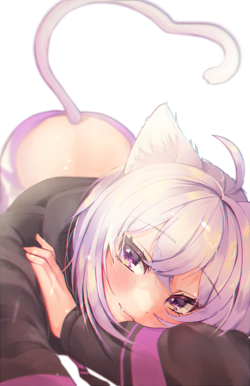 1girl absurdres animal_ear_fluff animal_ears bangs bent_over black_hoodie cat_ears cat_tail cowlick eyebrows_visible_through_hair fang fang_out grey_pants hand_on_own_arm highres hololive hood hoodie leehwa looking_at_viewer nekomata_okayu pants purple_hair smile solo sweatpants tail violet_eyes virtual_youtuber white_background