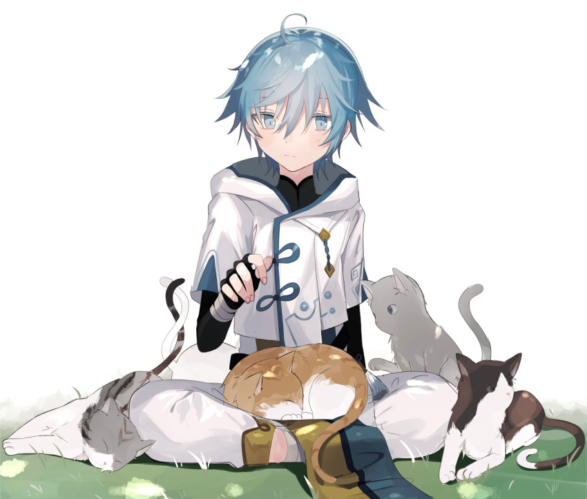 1boy ahoge animal animal_on_lap blue_eyes blush cat chongyun_(genshin_impact) closed_mouth fingernails genshin_impact hair_between_eyes hood hood_down light_blue_eyes light_blue_hair light_blush male_focus sleeping sweat turtleneck white_background yoko_(nz_g)