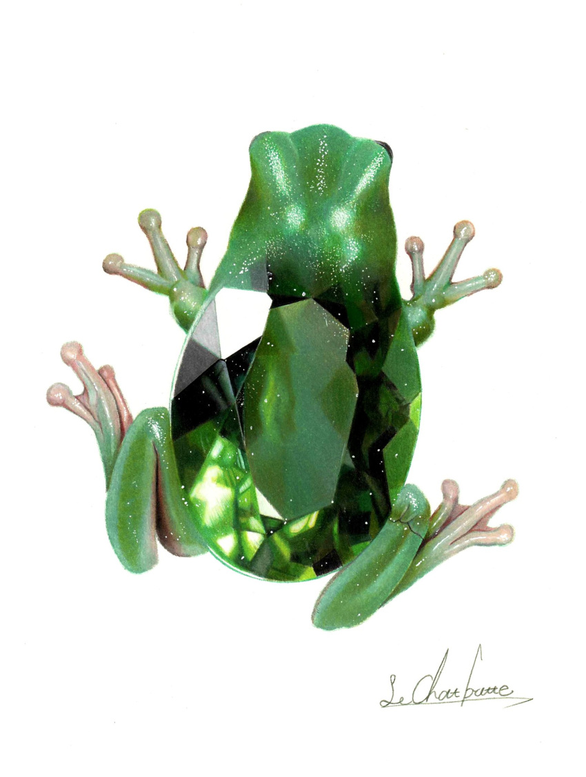 animal_focus colored_pencil_(medium) crystal emerald_(gemstone) erumo_0384 frog from_above highres no_humans original simple_background traditional_media white_background