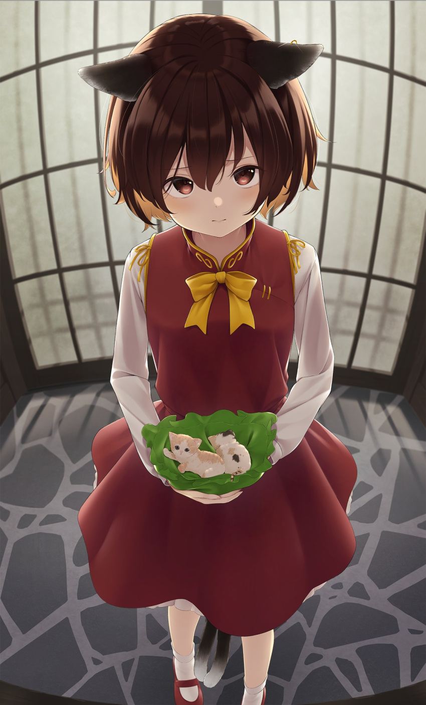 1girl animal animal_ears brown_hair cat cat_ears cat_tail chen commentary_request ears_down fisheye furrowed_eyebrows highres holding holding_animal holding_cat kanpa_(campagne_9) kitten long_sleeves mary_janes multiple_tails red_footwear shirt shoes short_hair solo standing tail touhou two_tails white_legwear white_shirt