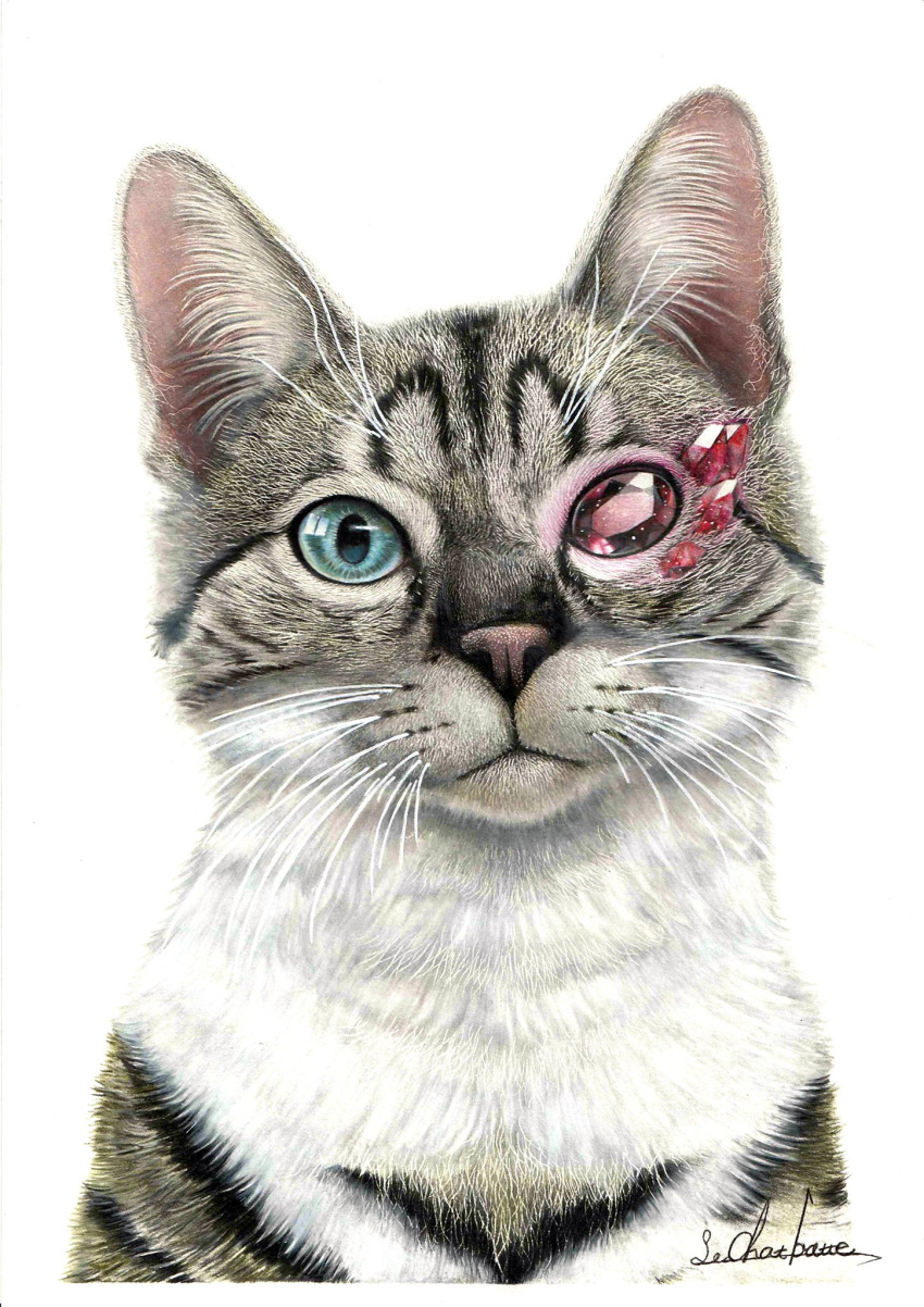 animal animal_focus cat colored_pencil_(medium) crystal erumo_0384 heterochromia highres looking_at_viewer no_humans original ruby_(gemstone) simple_background traditional_media white_background