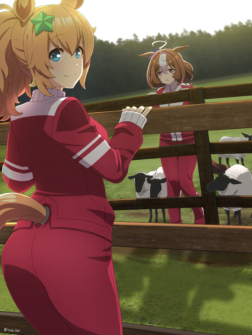 2girls ahoge animal animal_ears ass bangs blue_eyes brown_hair commentary_request day eyebrows_visible_through_hair fence hair_between_eyes hair_ornament highres horse_ears horse_girl horse_tail jacket long_sleeves meisho_doto multicolored_hair multiple_girls outdoors pants ponytail red_jacket red_pants sheep sleeves_past_wrists star_(symbol) star_hair_ornament taiki_shuttle tail tonbi track_jacket track_pants track_suit two-tone_hair umamusume violet_eyes white_hair
