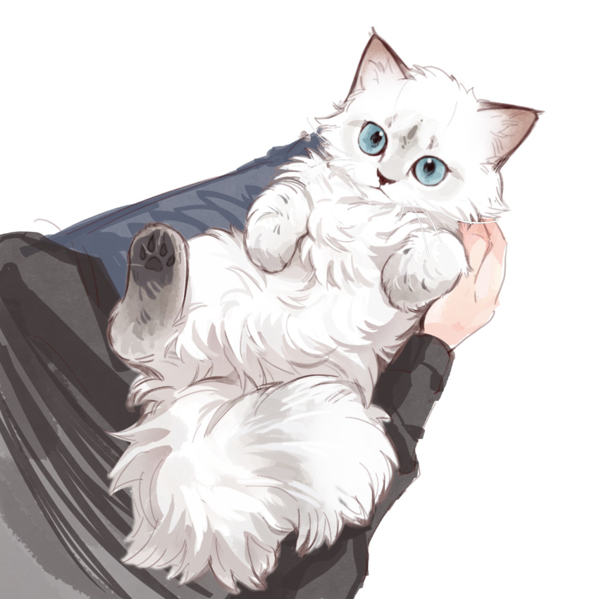 1other animal cat highres holding holding_animal holding_cat long_sleeves original simple_background white_background white_cat zhoushige