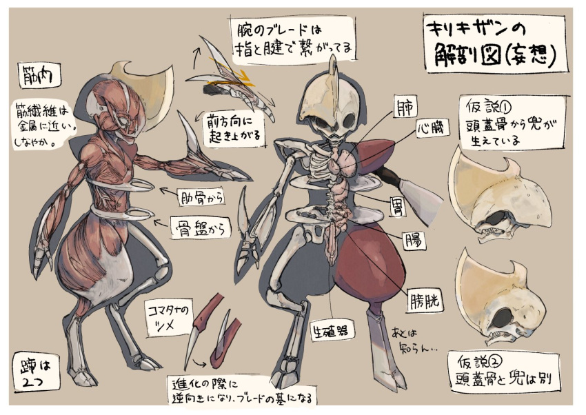 anatomy arrow_(symbol) bisharp bone border claws commentary_request gen_5_pokemon pokemon pokemon_(creature) skeleton skull standing translation_request uraya white_border