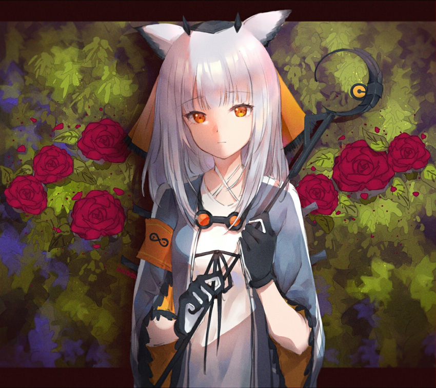 1girl arknights armband bangs blunt_bangs bush closed_mouth criss-cross_halter dress expressionless eyebrows_visible_through_hair flower grey_jacket halter_dress halterneck holding holding_staff ichita_(yixisama-shihaohaizhi) jacket long_hair long_sleeves looking_at_viewer open_clothes open_jacket orange_eyes owl_ears ptilopsis_(arknights) red_flower red_rose rhine_lab_logo rose silver_hair solo staff two-tone_gloves upper_body white_dress wide_sleeves