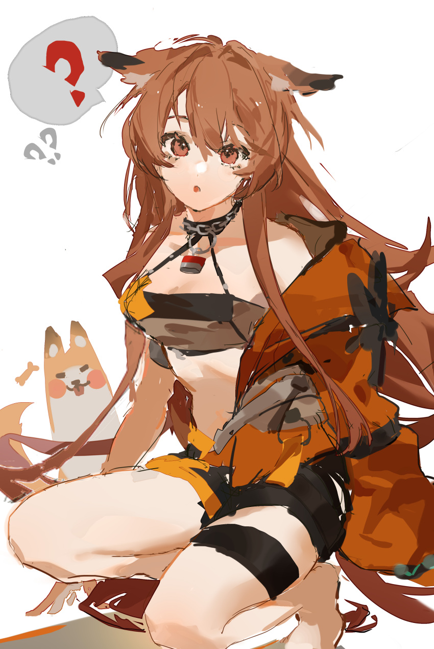 1girl 9degree ? absurdres animal_ears arknights barefoot bikini bikini_top black_bikini black_collar breasts brown_eyes brown_hair ceobe_(arknights) ceobe_(summer_flowers)_(arknights) chain collar commentary dog dog_ears dog_tail full_body highres jacket lock long_hair looking_at_viewer medium_breasts official_alternate_costume open_clothes open_jacket open_mouth orange_jacket padlock padlocked_collar simple_background solo spoken_question_mark squatting stomach swimsuit tail thigh_strap thighs white_background