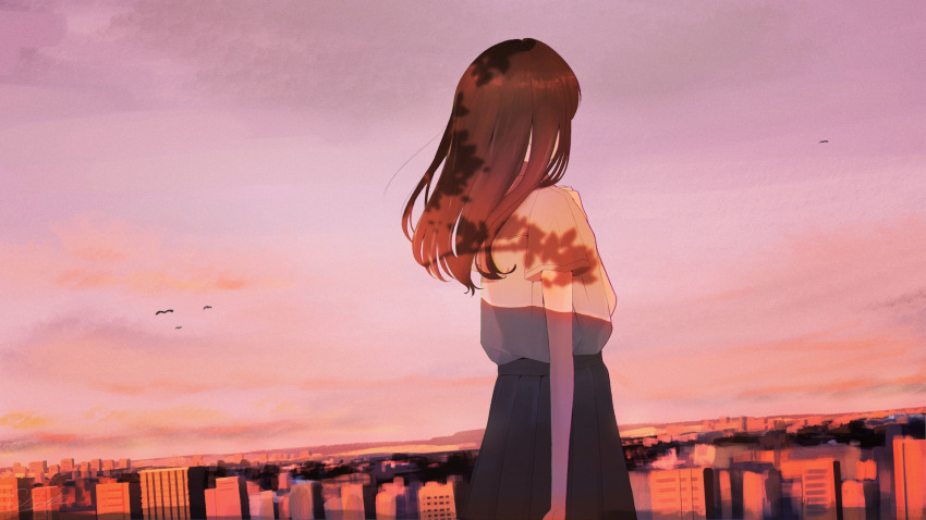 1girl brown_hair city from_behind highres long_hair original scenery shadow sky solo sunset tochichima