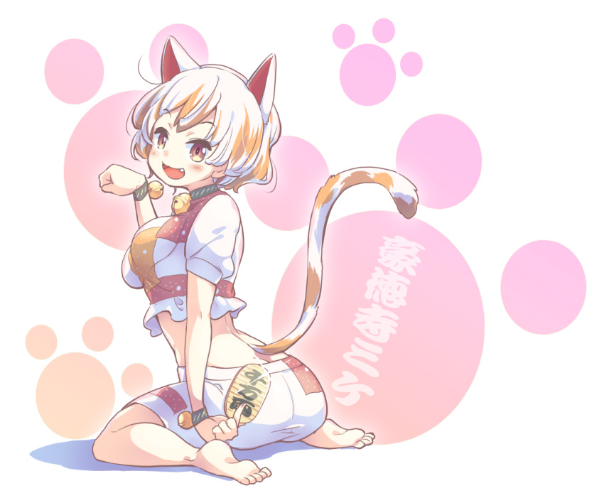 1girl :d animal_ears bad_feet bangs barefoot bell between_fingers black_collar blush bracelet breasts cat_ears cat_tail coin collar commentary_request crop_top eyebrows_visible_through_hair fang full_body goutokuji_mike hand_up jewelry jingle_bell looking_at_viewer looking_back maneki-neko medium_breasts midriff multicolored_hair open_mouth paw_background paw_pose puffy_short_sleeves puffy_sleeves short_hair short_sleeves shorts silver_hair simple_background smile soles solo streaked_hair tail tanasuke toes touhou violet_eyes white_background white_shorts