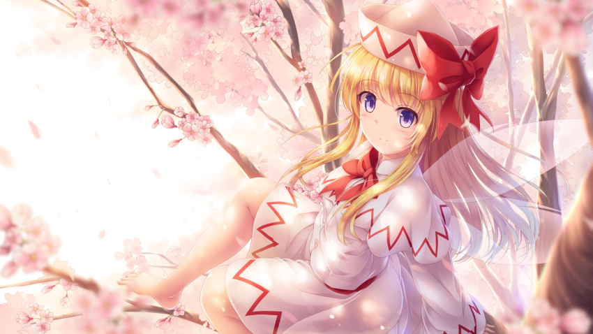 1girl bangs barefoot blonde_hair bow bowtie capelet cherry_blossoms commentary_request fairy_wings hat highres in_tree lily_white long_hair long_sleeves looking_at_viewer lzh sidelocks sitting smile solo touhou tree violet_eyes wings