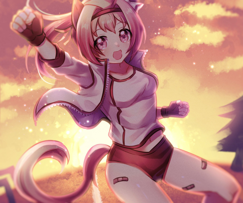 1girl animal_ears arm_up bandaid bandaid_on_leg bow buruma clenched_hands clouds fingerless_gloves gloves gym_uniform hair_bow hair_intakes haru_urara_(umamusume) headband highres hitosazi0000 horse_ears horse_girl horse_tail jacket long_hair navel open_mouth outdoors pink_eyes pink_hair ponytail red_buruma red_gloves ribbon running shirt sky smile solo sunset symbol-shaped_pupils tail thighs track_jacket umamusume white_jacket white_shirt