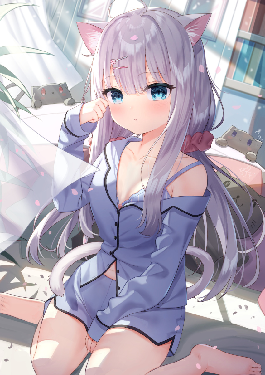 1girl ahoge animal_ear_fluff animal_ears bangs barefoot bed between_legs blue_bra blue_eyes blue_shirt blue_shorts blush bra cat_ears cat_girl cat_tail closed_mouth collared_shirt commentary_request curtains dress_shirt eyebrows_visible_through_hair flower flying_sweatdrops grey_hair hair_between_eyes hair_flower hair_ornament hairclip hand_between_legs hand_up highres indoors long_sleeves off_shoulder on_floor original petals pink_flower shirt short_shorts shorts sitting sleeves_past_wrists solo striped stuffed_animal stuffed_cat stuffed_toy tail transparent tsukiman underwear vertical-striped_bra vertical_stripes wariza
