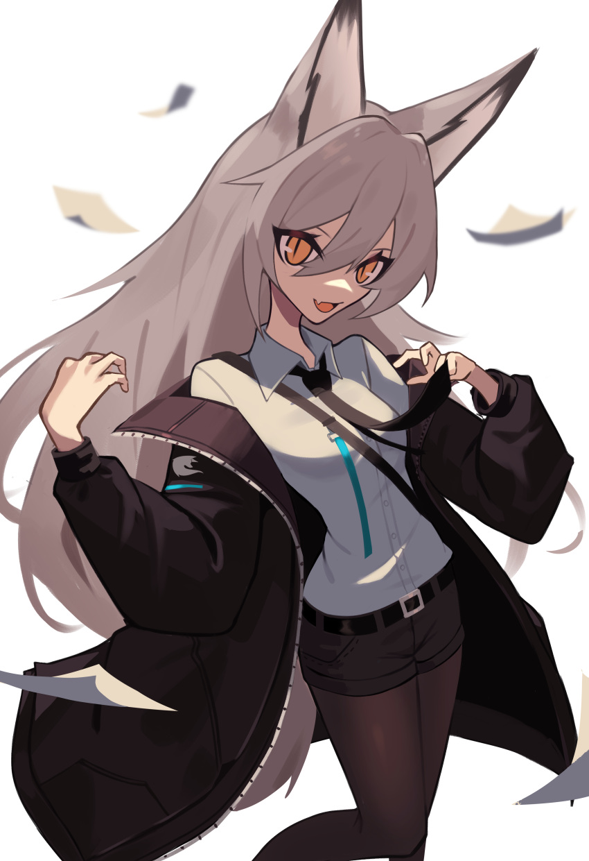 1girl absurdres animal_ears belt black_belt black_jacket black_shorts breasts collared_shirt fang floating ghost_(tama) hair_between_eyes highres jacket open_mouth orange_eyes original pantyhose paper shirt shirt_tucked_in shorts skin_fang small_breasts smile solo white_background white_shirt wind wolf_ears wolf_girl
