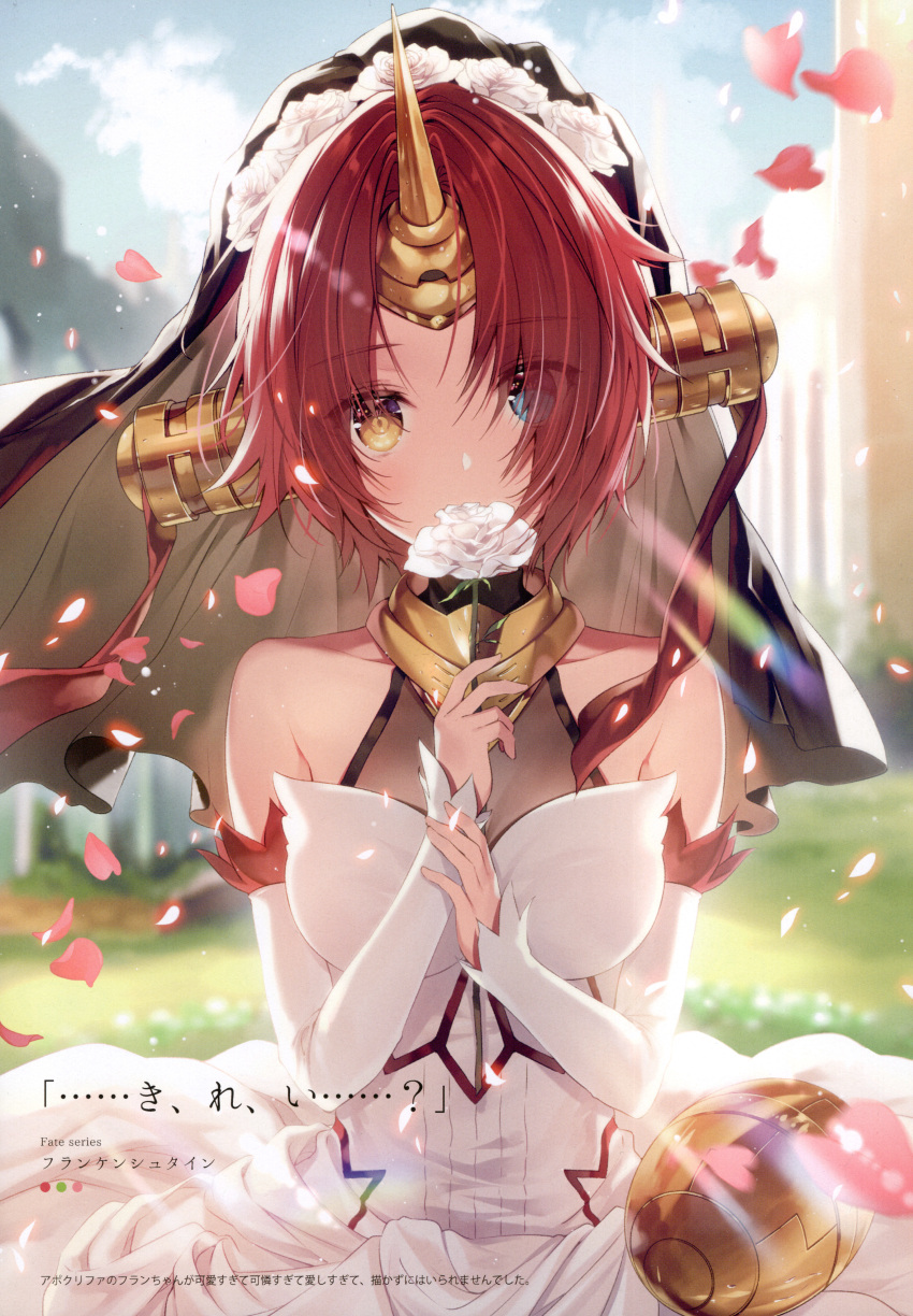 1girl absurdres breasts clouds cloudy_sky day dress fate/apocrypha fate_(series) flower frankenstein's_monster_(fate) heterochromia highres holding horns huge_filesize medium_breasts necomi outdoors petals scan simple_background single_horn sky solo veil
