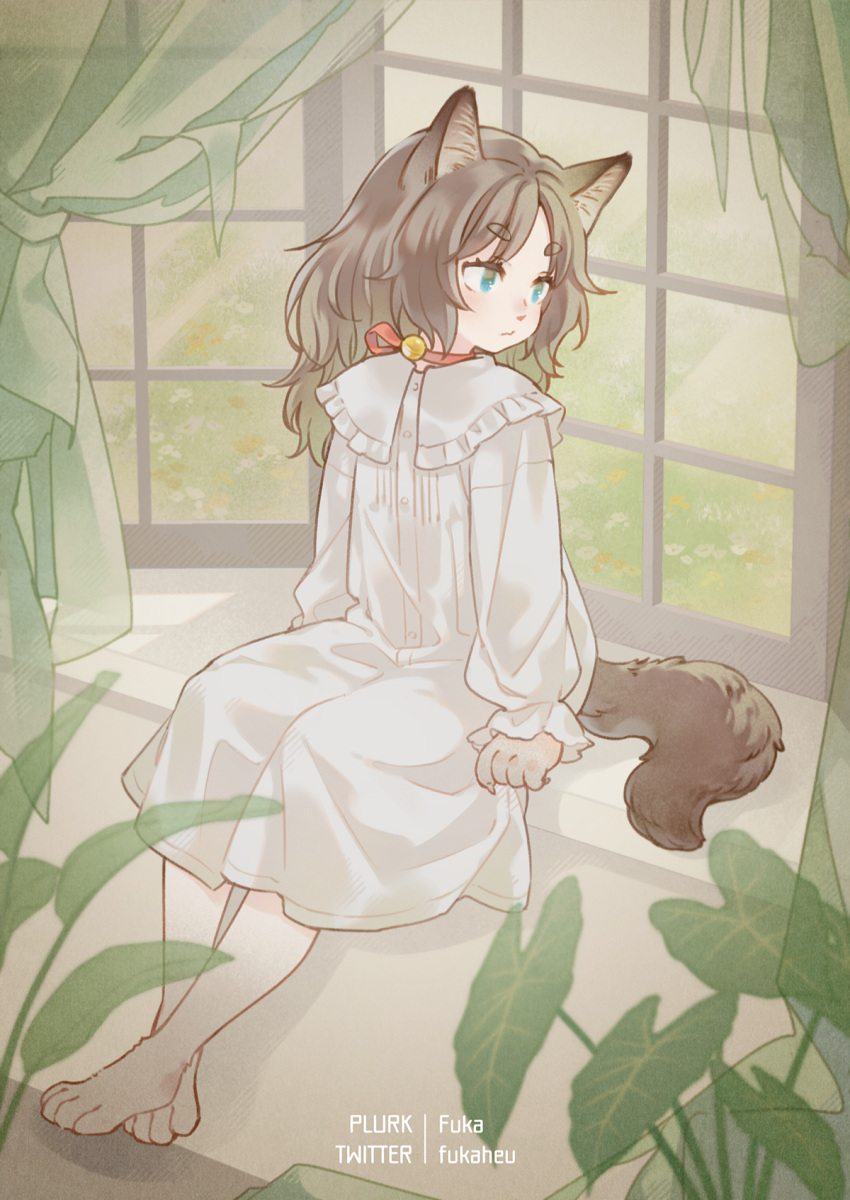 1girl animal_ears brown_hair cat_ears cat_tail claws curtains furry fuuka_(fukasheu) highres indoors long_sleeves medium_hair nightgown original plant tail window