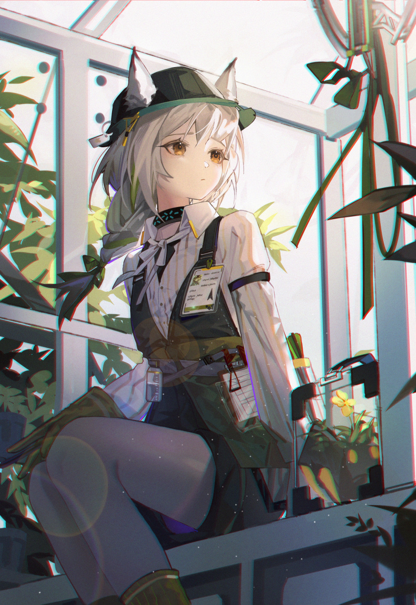 1girl absurdres animal_ears arknights beanstalk_(arknights) chromatic_aberration collared_shirt ears_through_headwear fedora feet_out_of_frame flower from_below gloves greenhouse hair_ribbon hat highres huge_filesize infection_monitor_(arknights) lens_flare looking_to_the_side nagito name_tag orange_eyes plant ribbon ribbon_braid shirt shorts sitting solo striped striped_shirt white_hair white_legwear white_shirt