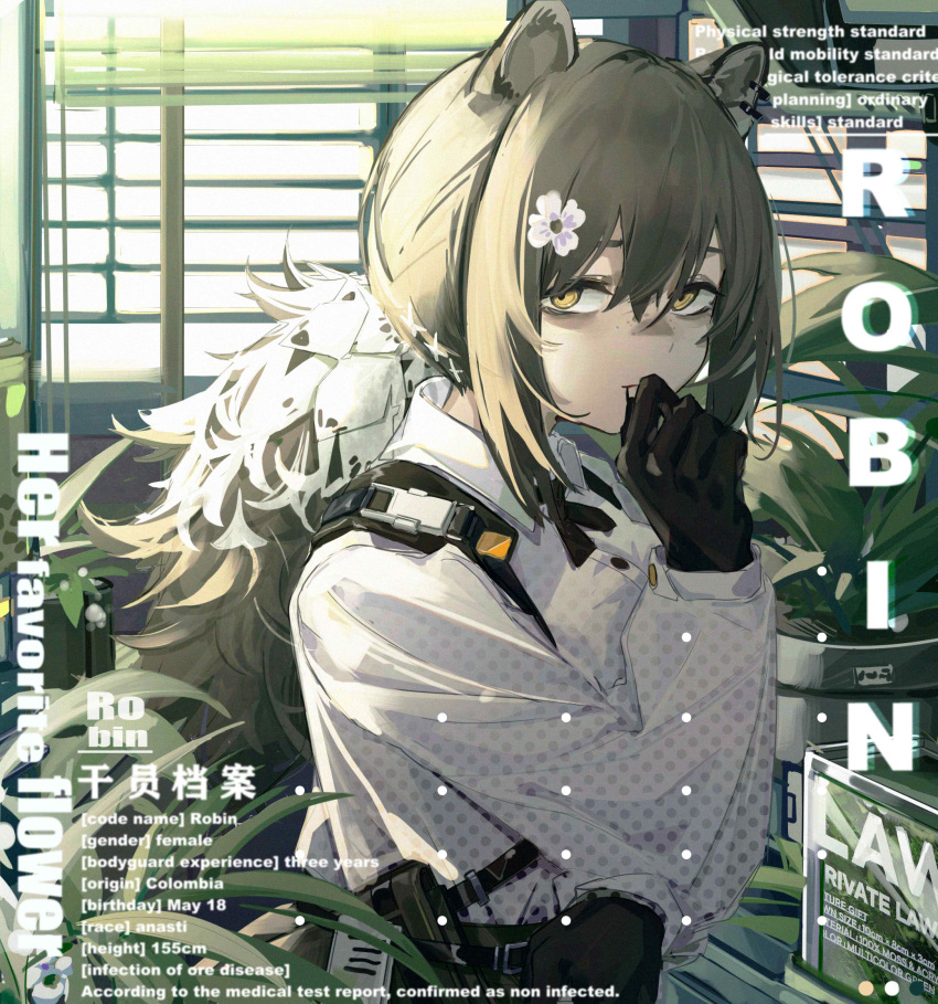 1girl animal_ears arknights bags_under_eyes bangs black_gloves brown_hair character_name closed_mouth english_text from_side gloves hand_on_own_face hand_up highres indoors long_hair long_sleeves looking_at_viewer looking_to_the_side plant polka_dot polka_dot_shirt ponytail potted_plant raccoon_ears robin_(arknights) shirt solo unmoving_pattern upper_body white_shirt window xiukukkii yellow_eyes