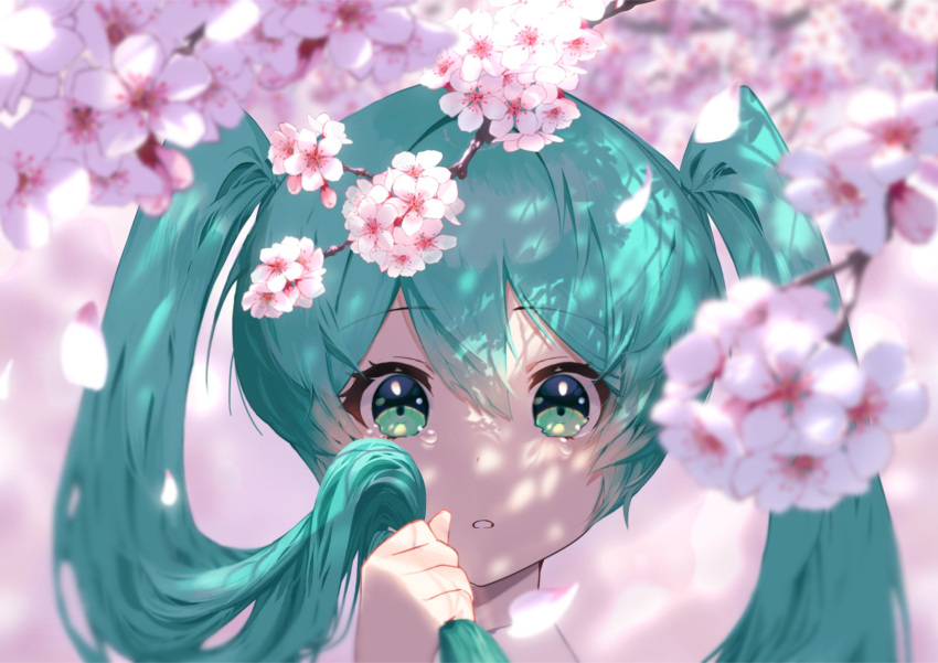 1girl aqua_eyes aqua_hair blurry blurry_background cherry_blossoms clenched_hand close-up collared_shirt crying crying_with_eyes_open dappled_sunlight depth_of_field dot_nose expressionless eyebrows_visible_through_hair eyelashes face flower hair_between_eyes hand_up hatsune_miku highres holding holding_hair kurodae long_hair looking_at_viewer parted_lips petals pink_background pink_flower shadow shirt simple_background solo sunlight tareme tears tree_branch twintails upper_body very_long_hair vocaloid wide-eyed