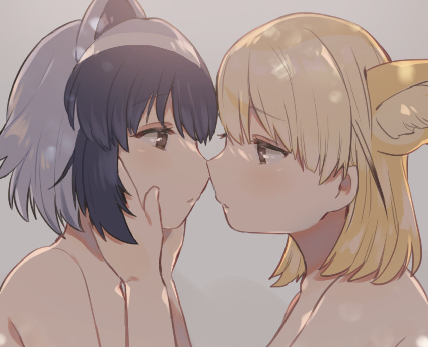 2girls animal_ear_fluff animal_ears bangs black_hair blonde_hair brown_eyes commentary_request common_raccoon_(kemono_friends) eye_contact eyebrows_visible_through_hair fennec_(kemono_friends) fox_ears grey_background hands_on_another's_face imminent_kiss kemono_friends light_blush looking_at_another medium_hair multicolored_hair multiple_girls nude parted_lips profile raccoon_ears short_hair silver_hair simple_background suicchonsuisui two-tone_hair upper_body yuri