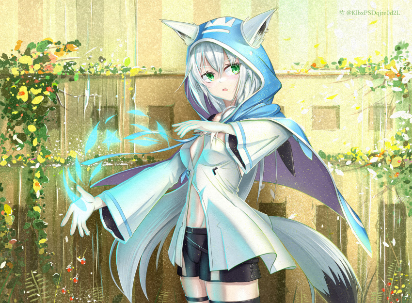 1girl animal_ears artist_name bangs black_shorts blue_capelet braid breasts capelet commentary_request detached_sleeves earrings ears_through_headwear eyebrows_visible_through_hair fox_ears fox_girl fox_tail green_eyes hair_between_eyes highres hololive hood hooded_capelet hoodie jewelry light_particles long_hair looking_at_viewer midriff navel open_mouth outdoors shirakami_fubuki short_shorts shorts sidelocks single_braid single_thighhigh small_breasts solo tail thigh-highs thigh_strap twitter_username virtual_youtuber white_hair white_hoodie yuu_(yuu_yu)