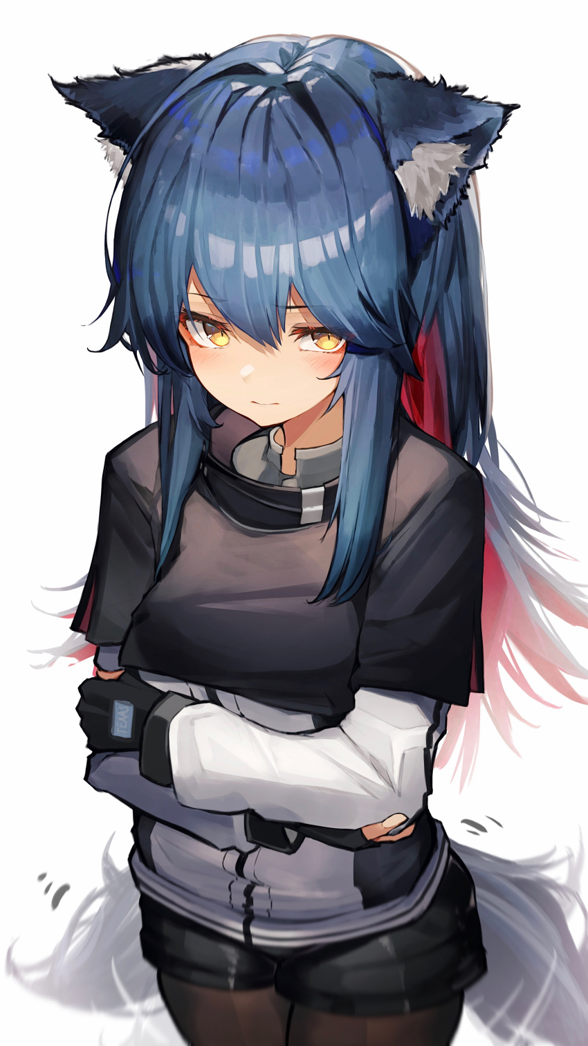 1girl absurdres animal_ear_fluff animal_ears arknights bangs black_capelet black_gloves black_hair black_shorts blue_hair blush brown_legwear capelet closed_mouth commentary_request crossed_arms eyebrows_visible_through_hair fingerless_gloves gloves highres jacket legwear_under_shorts long_sleeves looking_at_viewer motion_lines multicolored_hair pantyhose redhead short_shorts shorts sidelocks simple_background smile solo tab_head tail tail_wagging texas_(arknights) two-tone_hair white_background white_jacket wolf_ears wolf_girl wolf_tail