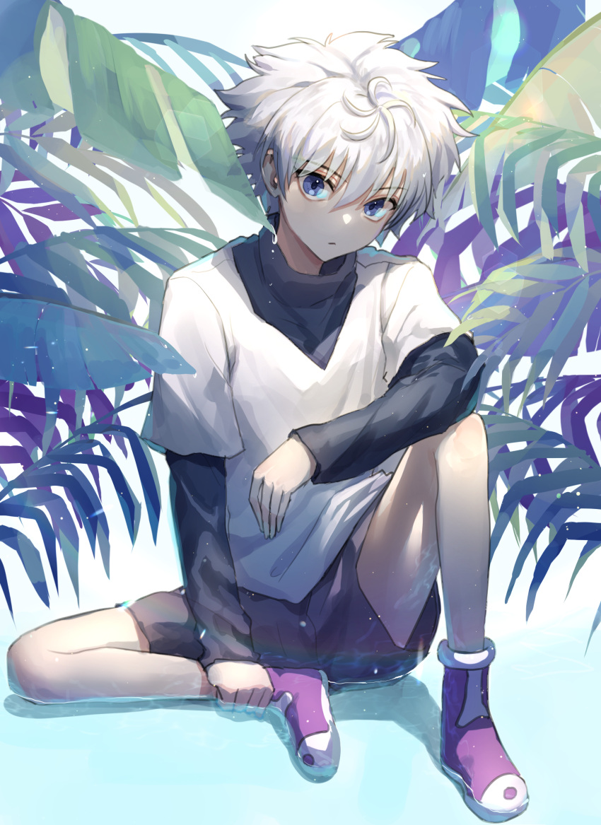 1boy absurdres bangs black_shirt black_shorts blue_eyes boots commentary dripping eyebrows_visible_through_hair full_body hair_between_eyes highres hunter_x_hunter killua_zoldyck knee_up long_sleeves looking_at_viewer male_focus messy_hair mmo_(mmo_omm938) plant puddle purple_footwear shirt short_hair short_over_long_sleeves short_sleeves shorts sitting solo spiky_hair t-shirt turtleneck water water_drop white_hair white_shirt