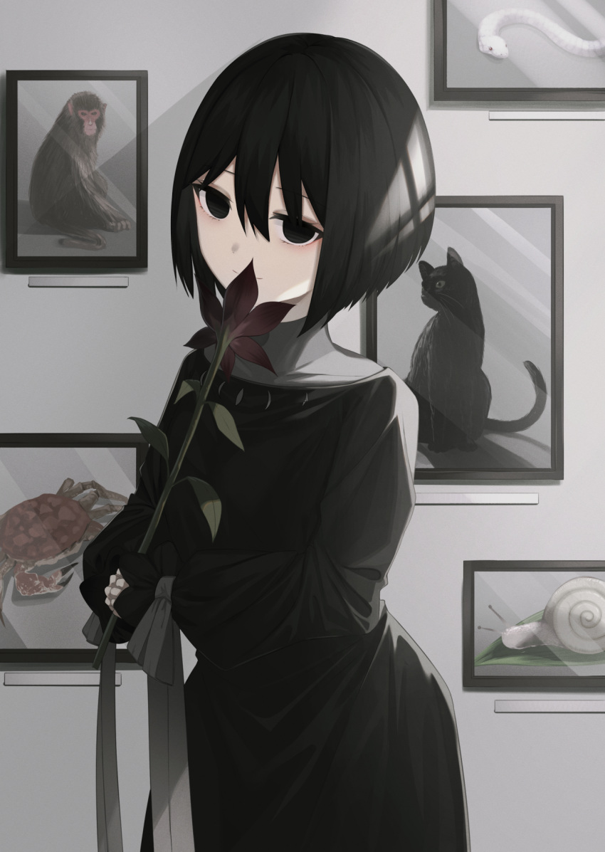 1girl bangs black_cat black_dress black_eyes black_flower black_hair cat closed_mouth cowboy_shot crab dress empty_eyes flower grey_ribbon hair_between_eyes highres long_sleeves looking_at_viewer monkey monogatari_(series) oshino_ougi painting_(object) short_hair smile snail snake solo tied_sleeves yamada_maya_(yamdmay)