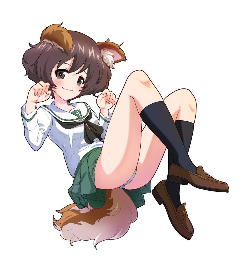 1girl akiyama_yukari animal_ears bangs black_legwear black_neckwear blouse blue_panties brown_eyes brown_footwear brown_hair claw_pose closed_mouth commentary_request dog_ears dog_tail excel_(shena) floating girls_und_panzer green_skirt highres loafers long_sleeves looking_at_viewer messy_hair miniskirt neckerchief ooarai_school_uniform panties pantyshot pleated_skirt sailor_collar school_uniform serafuku shoes short_hair simple_background skirt smile socks solo tail underwear white_background white_blouse white_sailor_collar