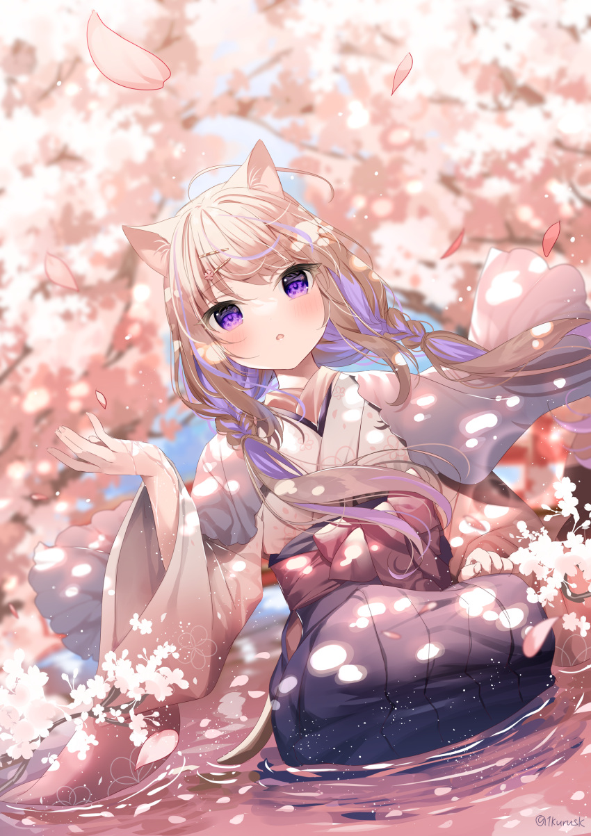 1girl :o absurdres animal_ears bangs blush braid brown_hair cat_ears cat_girl cat_tail cherry_blossoms day dutch_angle eyebrows_visible_through_hair hair_ornament hairclip hakama hanami hand_up highres japanese_clothes kimono leo_(mafuyu) long_sleeves looking_at_viewer mafuyu_(chibi21) multicolored_hair original outdoors parted_lips petals pink_kimono purple_hair purple_hakama seiza sitting solo tail twin_braids twitter_username two-tone_hair violet_eyes wide_sleeves