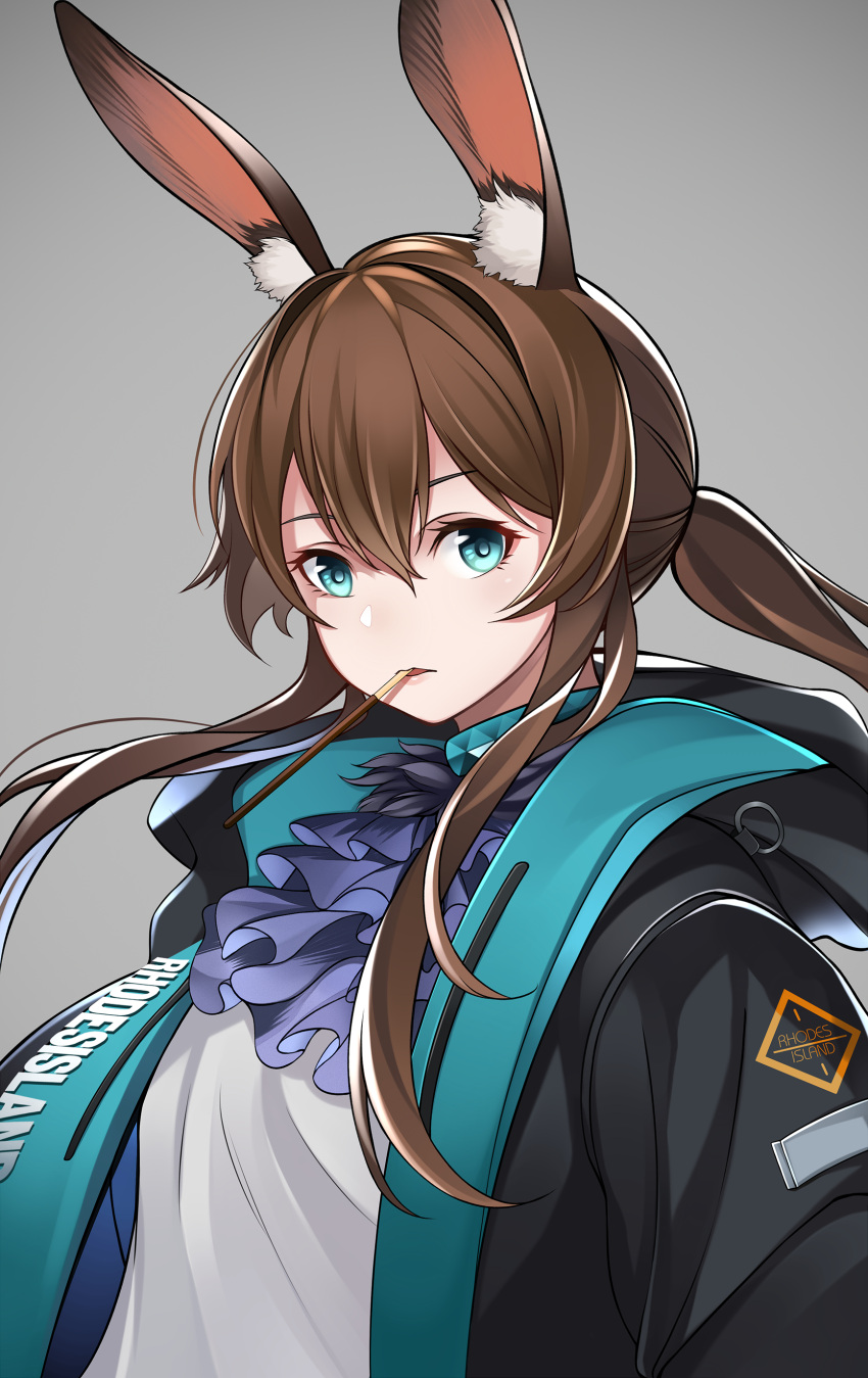 1girl absurdres amiya_(arknights) animal_ears arknights baggy_clothes bangs black_jacket blue_eyes brown_hair commentary_request food food_in_mouth gradient gradient_background grey_background hair_between_eyes highres hood hood_down jacket jewelry keiita long_hair long_sleeves looking_at_viewer mouth_hold open_clothes open_jacket playboy_bunny pocky pocky_day rabbit_ears shirt solo upper_body