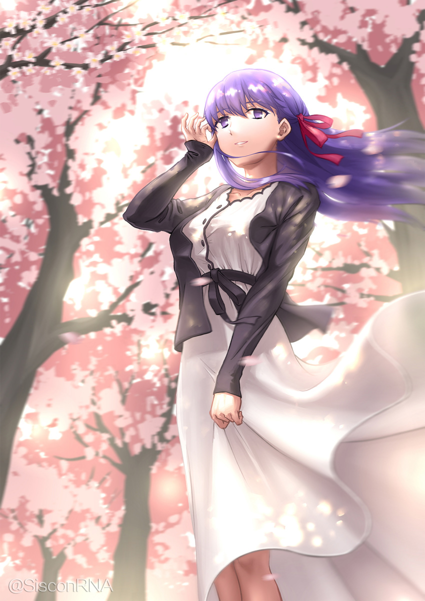 1girl bangs black_jacket black_ribbon collarbone dappled_sunlight day dress eyebrows_visible_through_hair fate/stay_night fate_(series) floating_hair from_below grin hair_between_eyes hair_ribbon highres jacket long_dress long_hair long_sleeves matou_sakura motion_blur open_clothes open_jacket outdoors petals purple_hair red_ribbon ribbon rna_(angel-smelter) smile solo spring_(season) standing sunlight twitter_username very_long_hair violet_eyes watermark white_dress