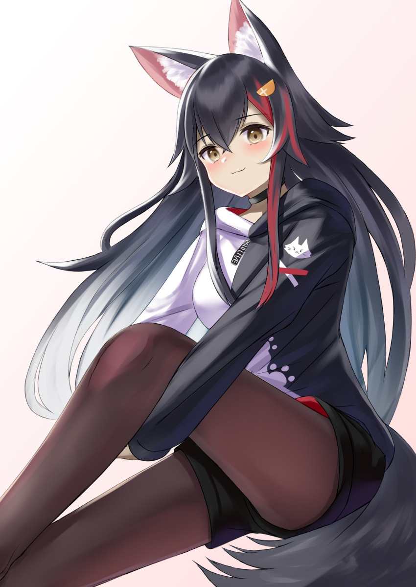 1girl :3 animal_ear_fluff animal_ears bangs black_choker black_hoodie black_legwear black_shorts breasts choker closed_mouth flipped_hair hair_between_eyes hair_flaps hair_ornament hairclip highres hololive hood hoodie leg_hug light_blush long_hair long_sleeves looking_at_viewer medium_breasts multicolored_hair natsuki_(natukituki) ookami_mio pantyhose paw_print paw_print_pattern redhead shorts sidelocks simple_background sitting solo streaked_hair tail two-tone_hoodie very_long_hair virtual_youtuber white_hoodie wolf_ears wolf_girl wolf_tail