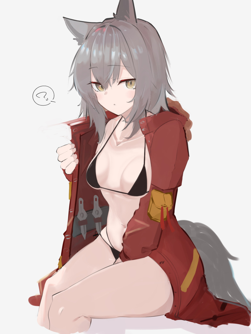 1girl ? animal_ears arknights asususususu bangs bare_legs between_legs bikini black_bikini breasts brown_eyes commentary_request cowboy_shot fur-trimmed_hood fur_trim grey_hair hair_between_eyes hand_between_legs highres hood hood_down hooded_jacket jacket knife looking_at_viewer medium_breasts open_clothes open_jacket projekt_red_(arknights) red_jacket sideways_glance simple_background sitting solo speech_bubble swimsuit tail teeth throwing_knife weapon white_background wolf_ears wolf_girl wolf_tail