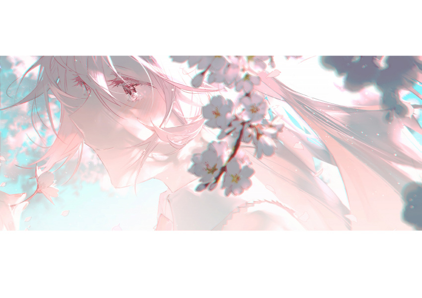 1girl aqua_background backlighting blurry blurry_background border cherry_blossoms chromatic_aberration close-up closed_mouth collared_shirt colored_eyelashes commentary_request depth_of_field eyelashes face facing_away fingernails floating_hair flower flower_in_eye half-closed_eyes hand_up happy hatsune_miku holding holding_flower light light_blush light_particles light_smile long_eyelashes long_hair looking_afar pale_color petals pink_eyes pink_hair pink_nails pink_theme profile rella sakura_miku shirt simple_background sleeveless sleeveless_shirt solo straight_hair symbol_in_eye tree_branch upper_body very_long_hair vocaloid white_border white_shirt white_theme