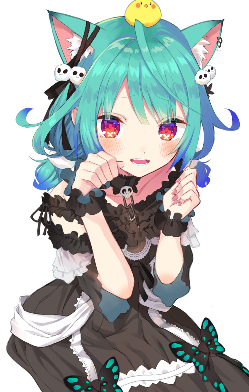 1girl ahoge animal_ears animal_on_head bangs bird bird_on_head black_choker black_dress blue_hair blush brooch cat_ears chick choker collarbone cuffs detached_collar dress ear_piercing ear_ribbon embarrassed flat_chest frilled_dress frilled_straps frills gothic_lolita gradient_hair green_hair hair_ornament hair_ribbon highres hololive itaboon jewelry lace lace_choker lolita_fashion looking_at_viewer low_twintails multicolored_hair nail_polish off-shoulder_dress off_shoulder on_head open_mouth paw_pose piercing pink_nails piyoko_(uruha_rushia) red_eyes ribbon see-through_sleeves short_dress short_hair short_sleeves short_twintails skull_hair_ornament solo swept_bangs twintails uruha_rushia virtual_youtuber wristband