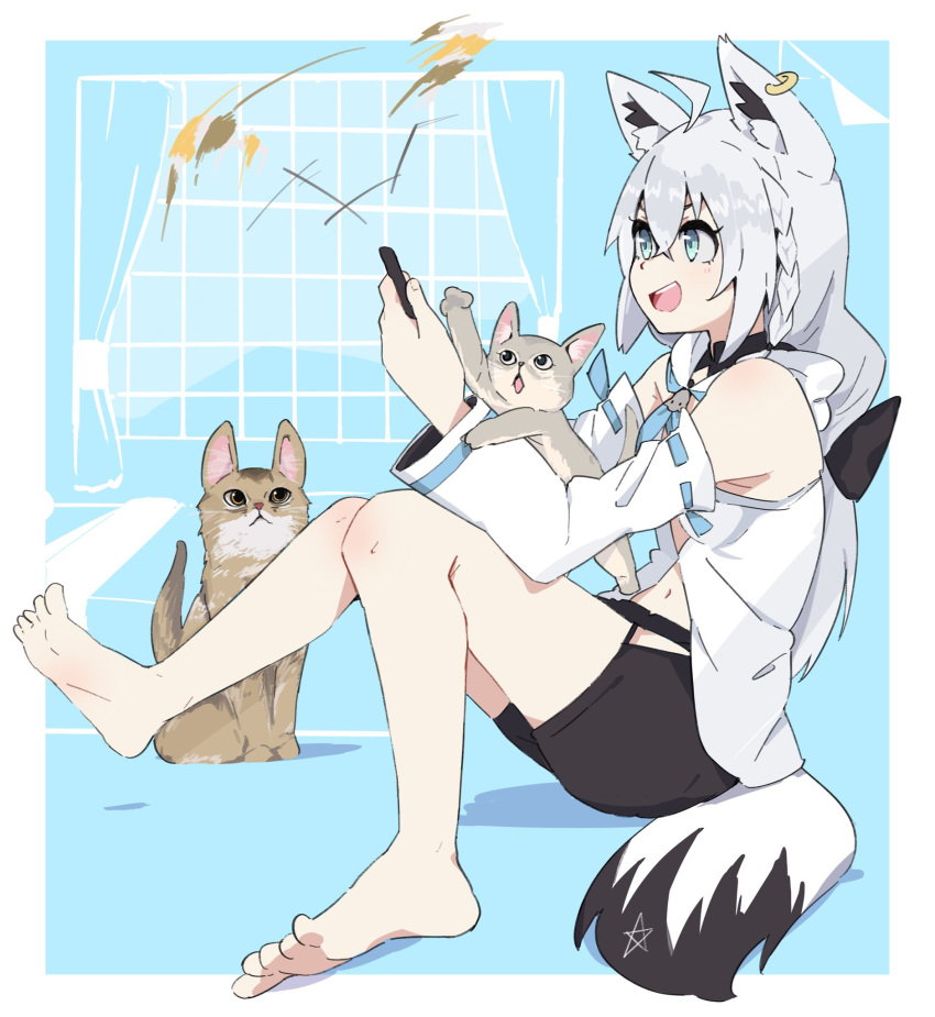 1girl ahoge animal_ear_fluff animal_ears azu_(shirakami_fubuki) bangs black_shorts blue_neckwear braid cat cat_teaser commentary_request detached_sleeves donkoni earrings eyebrows_visible_through_hair fox_ears fox_girl fox_tail hair_between_eyes highres holding hololive hood hoodie jewelry knees_up leo_(shirakami_fubuki) long_hair neckerchief open_mouth pentagram shirakami_fubuki short_shorts shorts sidelocks single_braid sitting tail virtual_youtuber white_hoodie