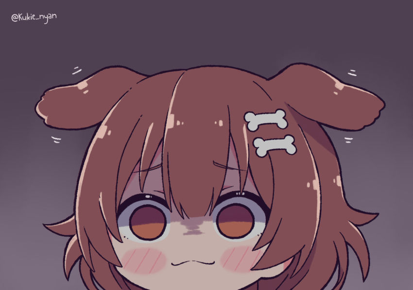 1girl :3 animal_ears blush_stickers bone_hair_ornament brown_eyes brown_hair chibi dog_ears empty_eyes extra_ears eyebrows_visible_through_hair flapping_ears grey_background hair_ornament hairclip hololive inugami_korone kukie-nyan solo twitter_username virtual_youtuber yandere