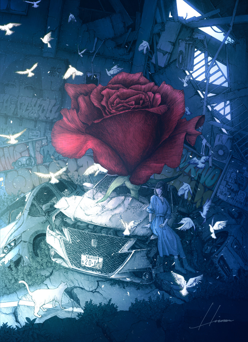 1girl bird blue_dress car cat crack dress flower ground_vehicle highres hipy_(image_oubliees) leaf motor_vehicle original oversized_flowers plant red_flower red_rose rose ruins shadow signature sitting solo white_bird white_cat wide_shot