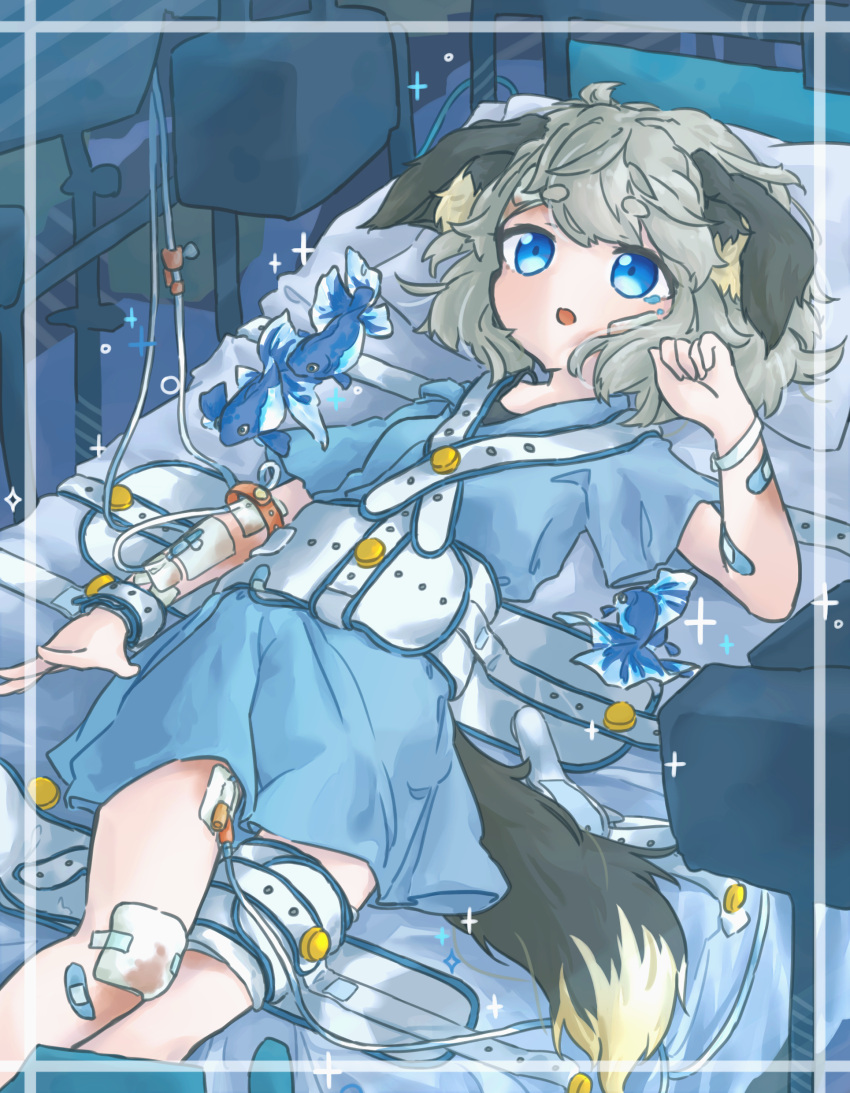 1girl :o absurdres animal_ears bandages bandaid barefoot bdsm bed blue_eyes bondage bound catheter crying dog_ears dog_tail fish grey_hair highres hospital hospital_bed hospital_gown intravenous_drip legs looking_at_viewer open_mouth original restrained rin_awashina short_hair solo tail thighs wristband