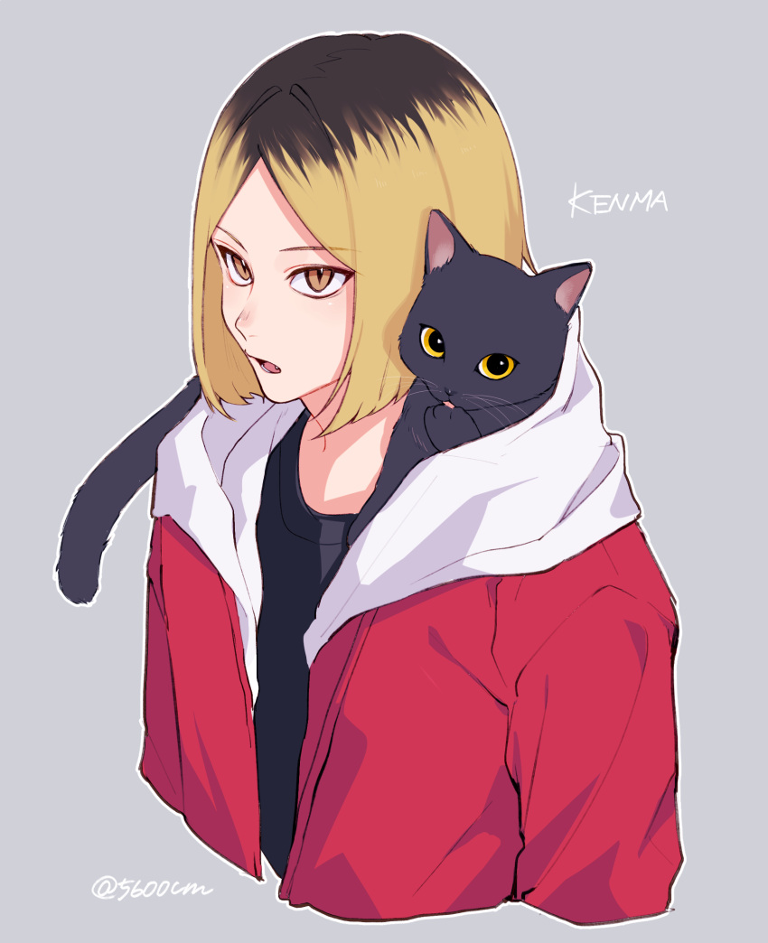 1boy 5600cm animal_on_shoulder bangs blonde_hair brown_eyes cat cat_on_shoulder character_name grey_background haikyuu!! highres jacket kozume_kenma looking_at_viewer male_focus multicolored_hair open_clothes open_jacket open_mouth short_hair simple_background standing twitter_username two-tone_hair upper_body
