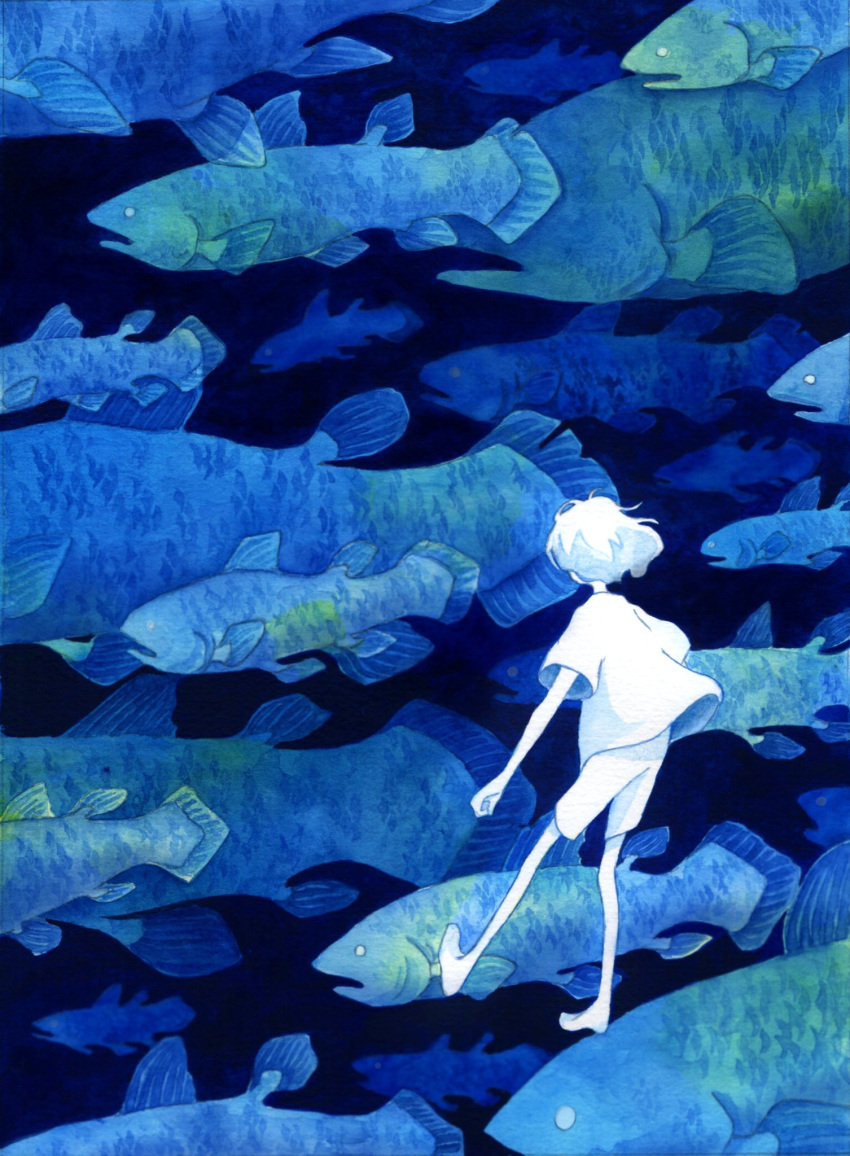 1girl blue_theme fish from_behind highres original shirt short_hair shorts solo standing white_hair white_shirt white_shorts wide_shot yutsukidayo