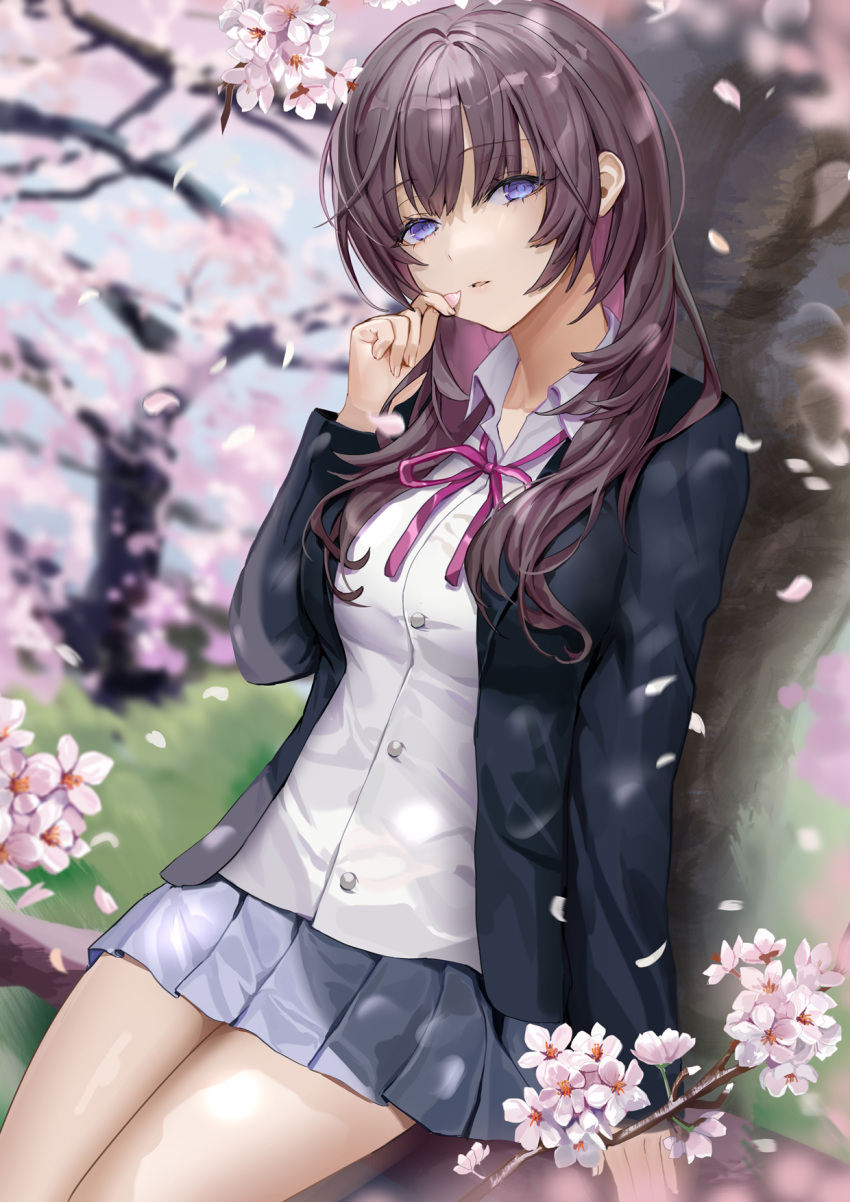 1girl bangs black_jacket blue_skirt blurry blurry_background breasts brown_hair cherry_blossoms collared_shirt depth_of_field dress_shirt eyebrows_visible_through_hair flower highres holding holding_petal in_tree jacket lloule long_hair long_sleeves looking_at_viewer medium_breasts miniskirt neck_ribbon original parted_lips petals pink_flower pink_neckwear pink_ribbon pleated_skirt ribbon shirt sitting sitting_in_tree skirt solo tree violet_eyes white_shirt