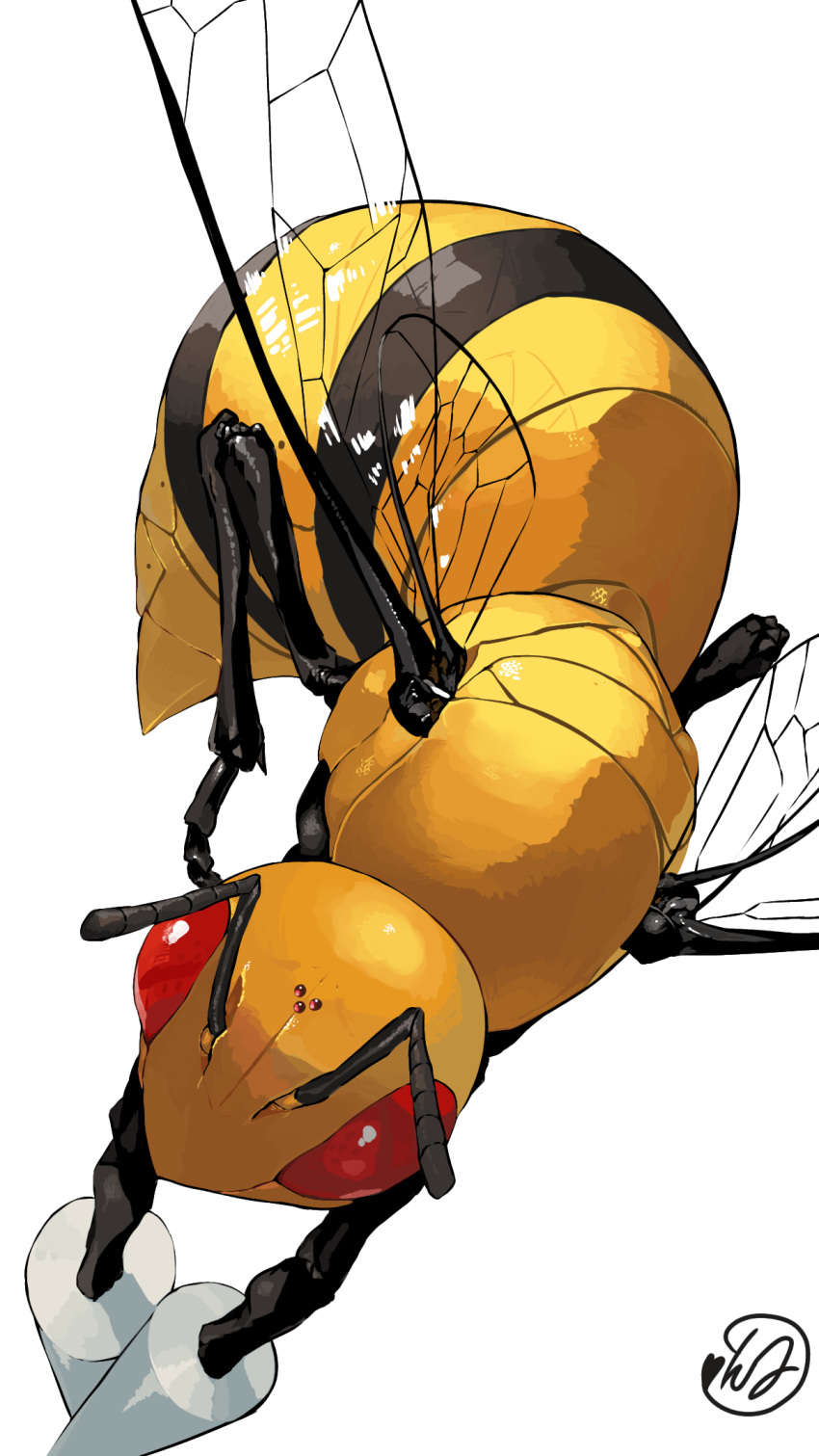 bee beedrill bug commentary_request gen_1_pokemon highres insect no_humans pokemon pokemon_(creature) red_eyes signature simple_background solo white_background yuyu_ekaki_dayo