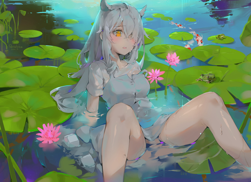 1girl animal_ears arm_support artist_name bangs bare_legs blush breasts commentary_request dated dema_hmw dress feet_out_of_frame fish flower frog grey_dress hair_over_one_eye highres long_hair looking_at_viewer medium_breasts open_mouth orange_eyes original partially_submerged pink_flower pond short_sleeves silver_hair solo water wet wet_clothes wet_hair