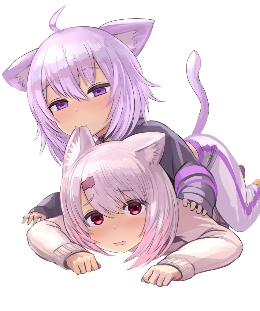 2girls ahoge animal_collar animal_ear_fluff animal_ears bangs biting black_shirt cat_ears cat_girl cat_tail collar ear_biting enumiyan eyebrows_visible_through_hair grey_hair grey_sweater hair_between_eyes hair_ornament hairclip highres hololive long_sleeves looking_at_viewer lying medium_hair messy_hair multiple_girls nekomata_okayu nijisanji on_person on_stomach open_mouth pants purple_hair red_eyes shiina_yuika shirt sidelocks sleeves_past_wrists sweater tail violet_eyes virtual_youtuber white_background white_pants