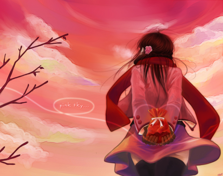 arms_behind arms_behind_back bad_id black_legwear brown_hair cloud clouds from_behind gift gloves long_hair original red_sky scarf sky solo sunset thighhighs usaki valentine zettai_ryouiki